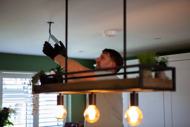 Best Electrical Repair Services  in Hayfield, MN