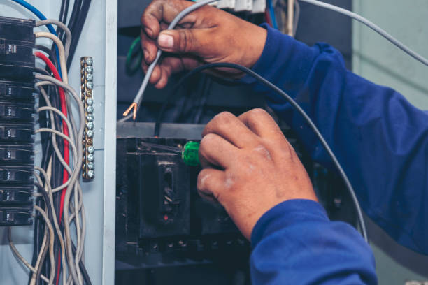 Best Electrical Rewiring Services  in Hayfield, MN