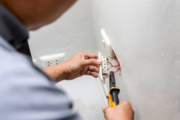 Best Electrician Near Me  in Hayfield, MN