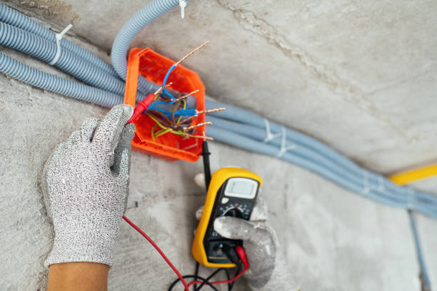 Best Commercial Electrician Services  in Hayfield, MN